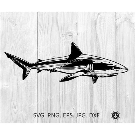 Shark SVG, Shark Clipart, Sharks Mascot Svg, Shark Png Great - Inspire ...