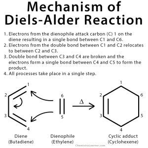 Diels-Alder Reaction: Definition, Examples, and Mechanism