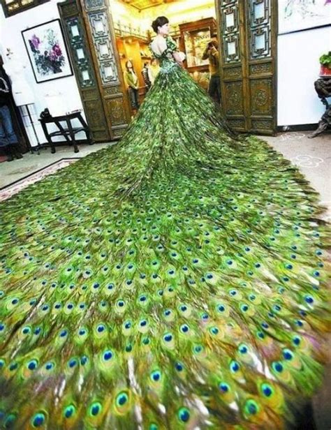 peacock dress on Tumblr