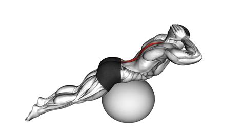 Back Extension On Exercise Ball - Video Guide & Tips