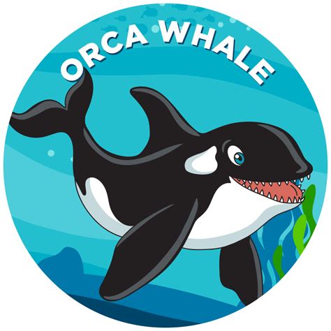 Orca Whale - Propel Swim Academy