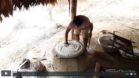 Indigenous Heritage 2020: Importance of Cassava bread making - Cobra Collective