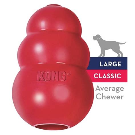 Best Chew Toys for Dogs with Separation Anxiety | Anxiety In Dogs