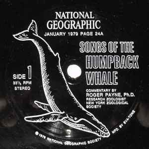 Humpback Whale - Songs Of The Humpback Whale (Flexi-disc) at Discogs