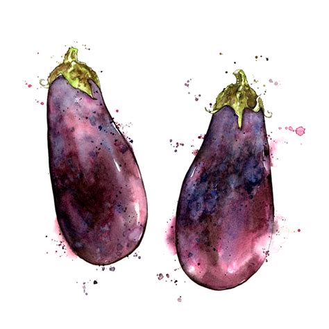 Amy Holliday Illustration : Study // Plump Purple Aubergine (Eggplant)