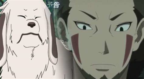 'Boruto' Has 'Naruto' Fans Worried About Akamaru