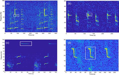 (Color online) Examples of annotated blue whale call with Raven Pro... | Download Scientific Diagram