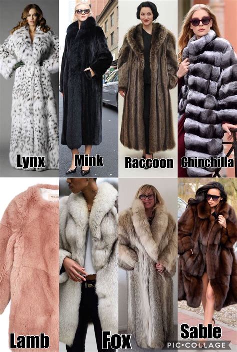 Some types of furs | Fur coat, Coat, Fur