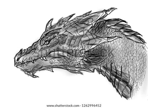 Dragon Head Pencil Drawings