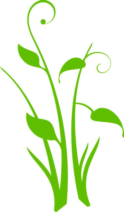 Grass Leaves Beautiful · Free vector graphic on Pixabay