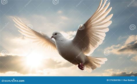 Peaceful Dove a Symbol of Harmony and Unity Stock Illustration - Illustration of elegant ...