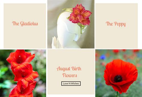 August Flower Of The Month Birth Flowers