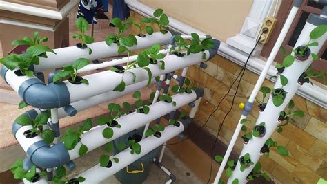 Hydroponics System, Water Pumps, Setup, Hydroponics