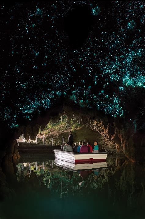 Hobbiton & Waitomo Glowworm Caves Gallery - Auckland Scenic Tours