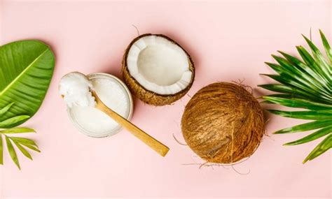 5 Benefits of Coconut Oil for Dogs | BeChewy