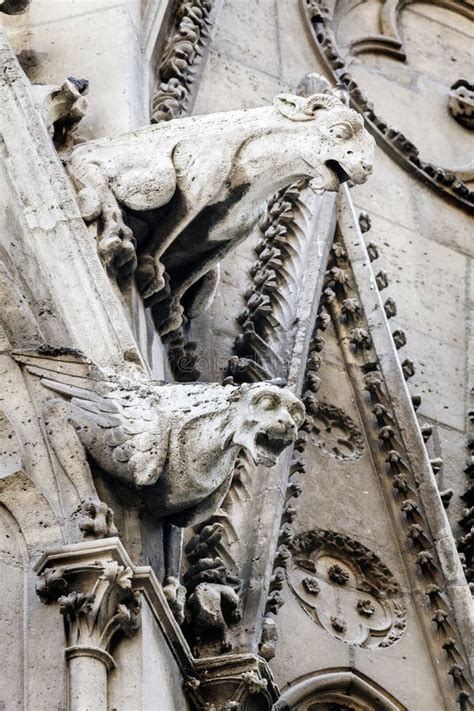 Gargoyles of Notre Dame Cathedral in Paris Stock Photo - Image of paris ...