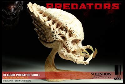 JIMSMASH ! ! !: PREDATOR SKULLS