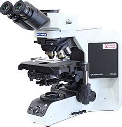 Differential Interference Contrast (DIC) - Martin Microscope