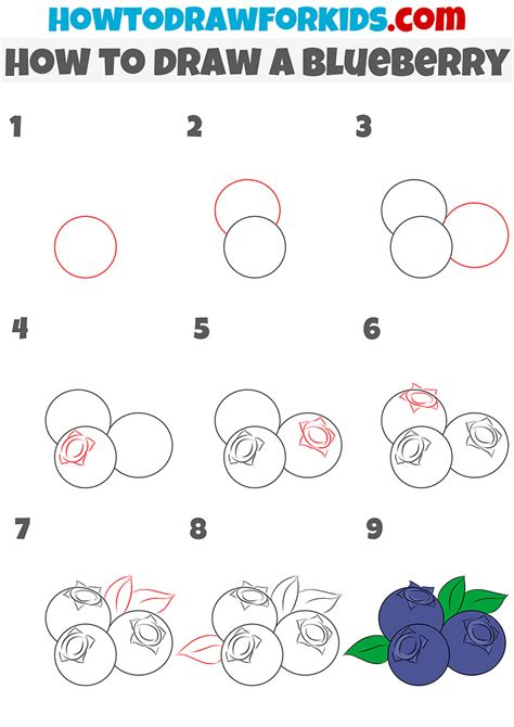 How to Draw a Blueberry - Easy Drawing Tutorial For Kids