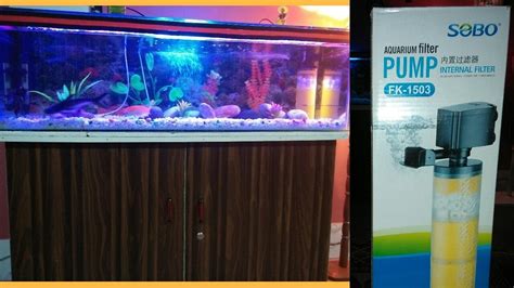 How To Install Filter In Aquarium - Aquarium Views