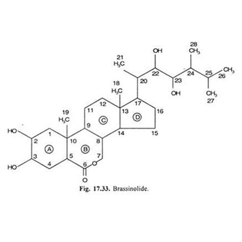 Brassinolide – Types of Humic Acid Fertilizers Supplier in China – Baysource