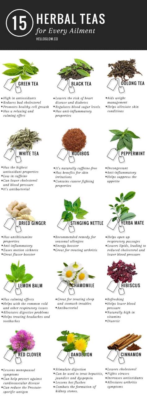 Here’s To Your Health – The Benefits Of Drinking Tea | Daily Infographic