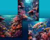 Coral Reef, Underwater, Undersea, Ocean, JPG - So Fontsy