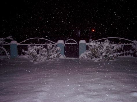 Dark Night, Heavy Snow Free Stock Photo - Public Domain Pictures