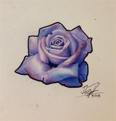 Beautiful Purple rose | Roses drawing, Colorful drawings, Purple roses