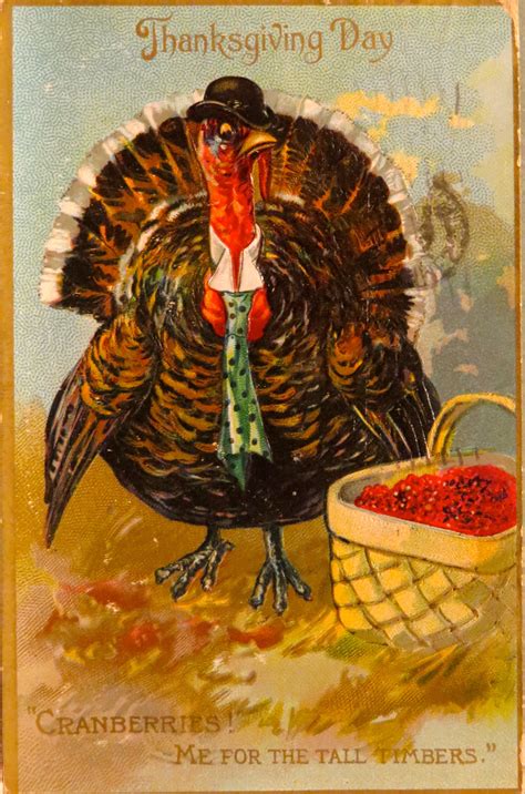 from Robyn Miller's Vintage Turkey Postcard Collection | Vintage thanksgiving cards, Vintage ...