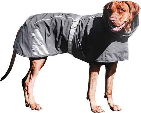 Hurtta Extreme Warmer Dog Jacket, 16-in, Black - Chewy.com