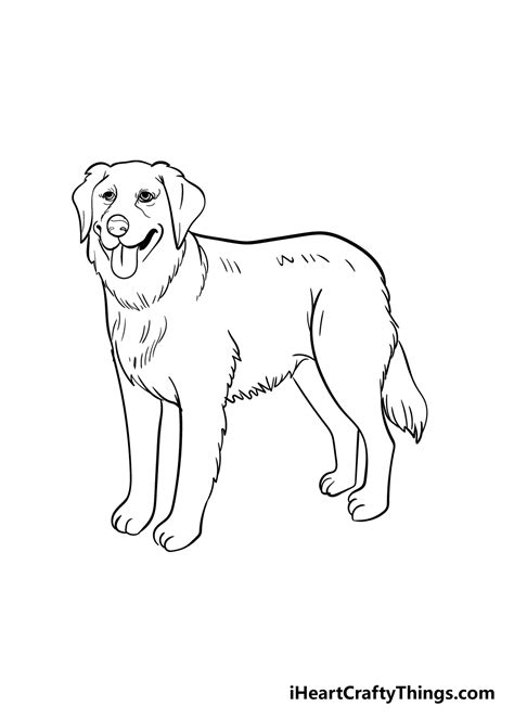 Golden Retriever Drawings Simple