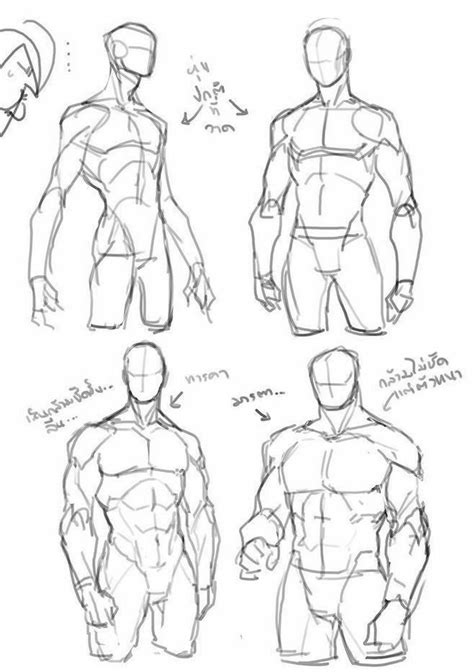 corps masculin aide | Body reference drawing, Sketches, Human body drawing