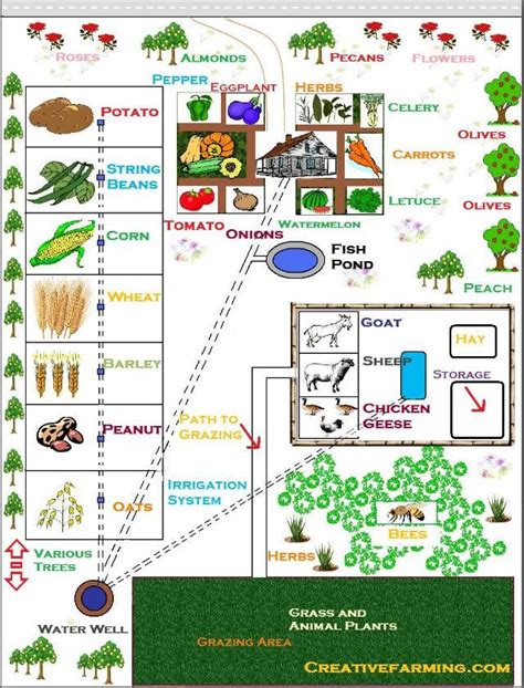 Farm Map | Farm layout, Farm plans, Homestead layout