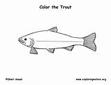 Brook Trout Coloring Page Pages sketch template