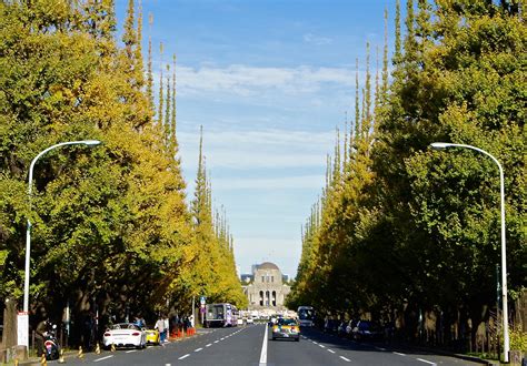 Autumn Foliage at the Meiji Jingu Gaien (Outer Garden) – Experience Tokyo – Travel, Discover and ...