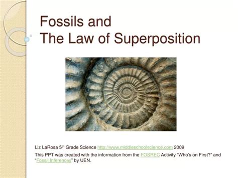 PPT - Fossils and The Law of Superposition PowerPoint Presentation - ID ...