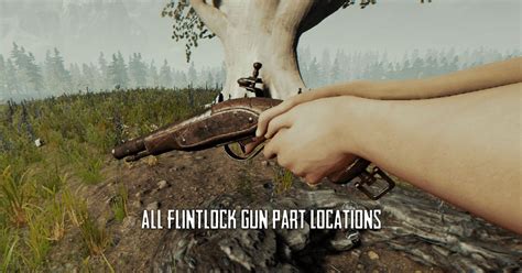 All Flintlock Gun Part Locations in The Forest