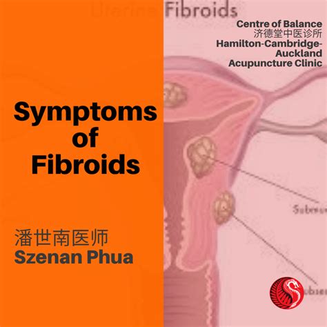 What are the Symptoms of Fibroids? - Best Acupuncture Hamilton NZ