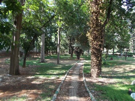 Cubbon Park (Bengaluru) - 2021 What to Know Before You Go (with Photos ...