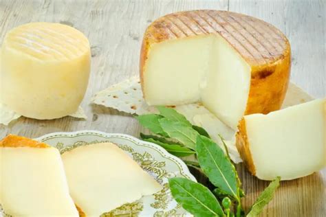 Which Sheep Breeds Produce the Best Cheese? (Solved)