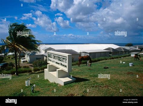 St Kitts Ross University - School Of Vetinary Medicine Stock Photo - Alamy