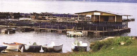 Supporting the Aquaculture of the World’s Largest Archipelago (Indonesia) - Aquaculture Magazine