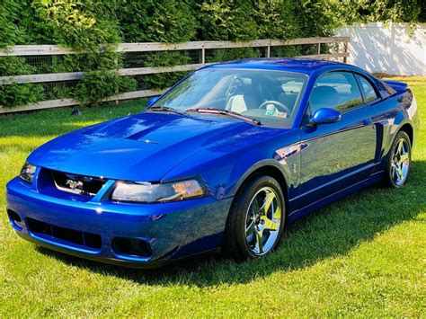 2003 Ford Mustang SVT Cobra 1 | Barn Finds