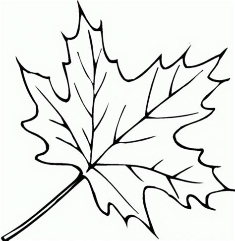 Fall Leaves Coloring Pages 2016