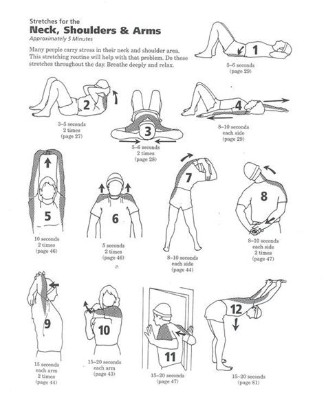 Neck Exercises, Body Stretches, Stretching Exercises, Golf Stretching ...