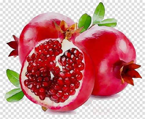 Pomegranate clipart pomegranate seed, Pomegranate pomegranate seed Transparent FREE for download ...