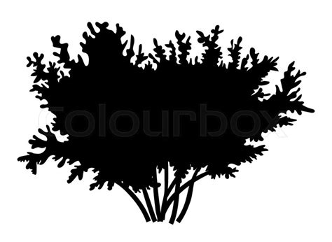 Silhouette bush with leaves isolated ... | Stock vector | Colourbox