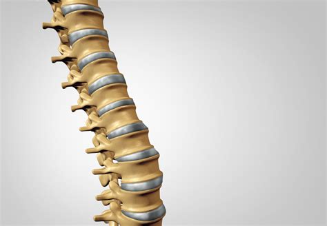 Kyphoplasty vs. Vertebroplasty: What's The Difference? - PMIR