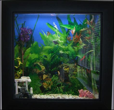Picture-Frame Fish Tank. | Flickr - Photo Sharing!